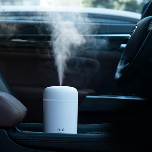Diffusore di Aromi e Umidificatore Portatile per Auto e Casa